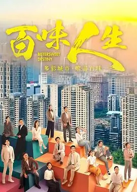 灰港夜航剧集封面示意